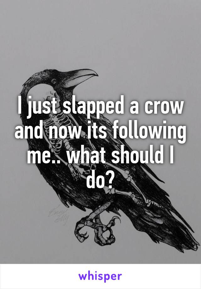 I just slapped a crow and now its following me.. what should I do?