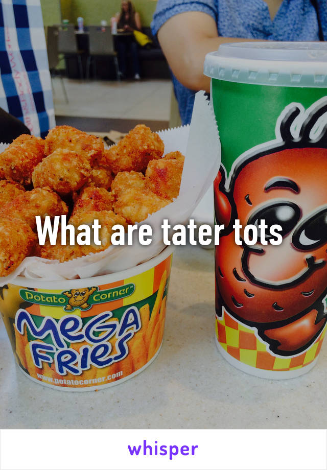 What are tater tots 