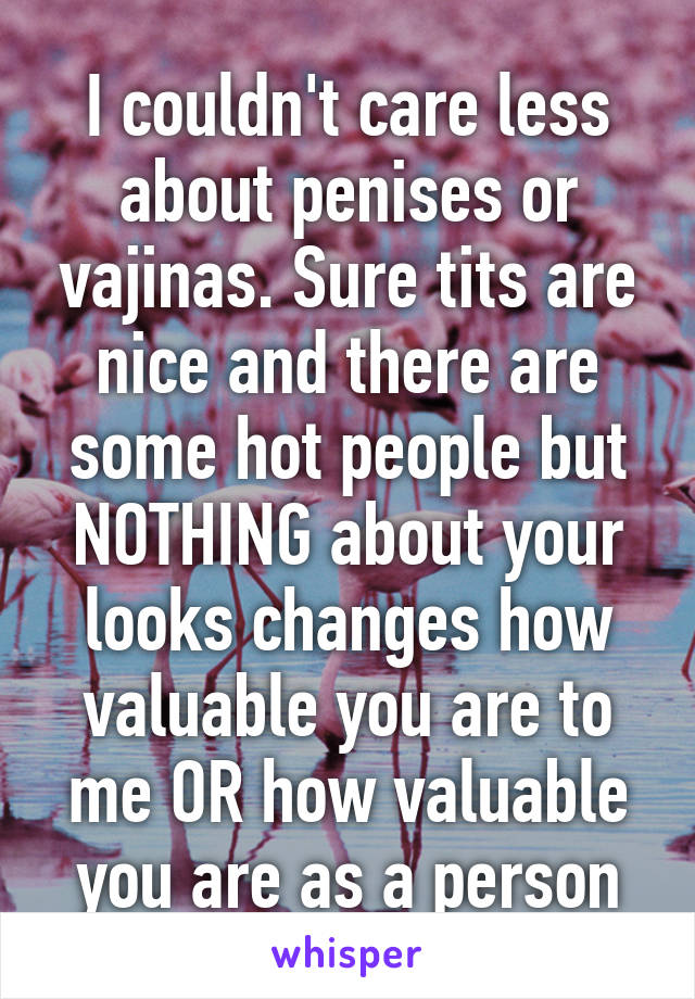 I couldn't care less about penises or vajinas. Sure tits are nice and there are some hot people but NOTHING about your looks changes how valuable you are to me OR how valuable you are as a person