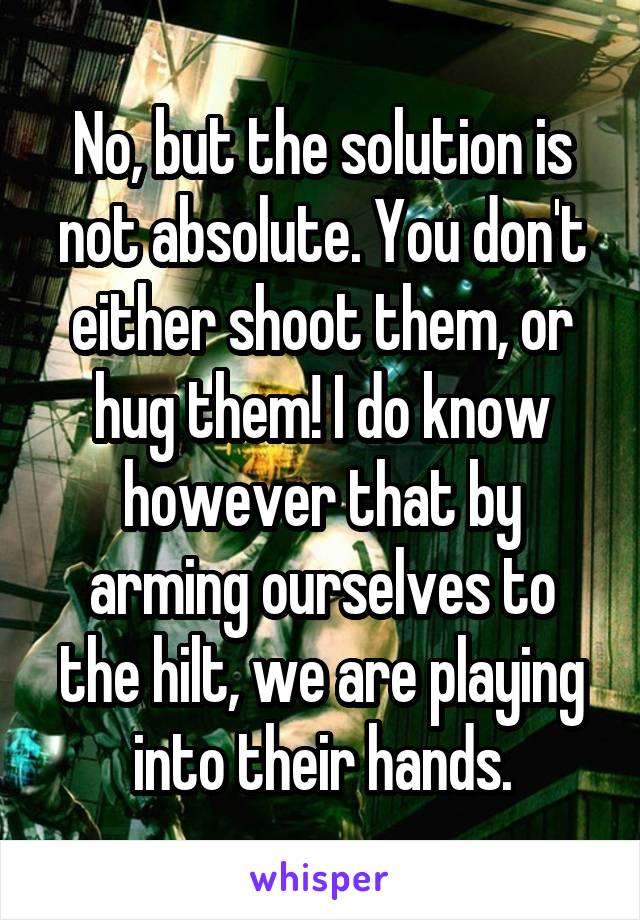 No, but the solution is not absolute. You don't either shoot them, or hug them! I do know however that by arming ourselves to the hilt, we are playing into their hands.