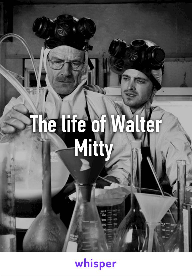 The life of Walter Mitty 