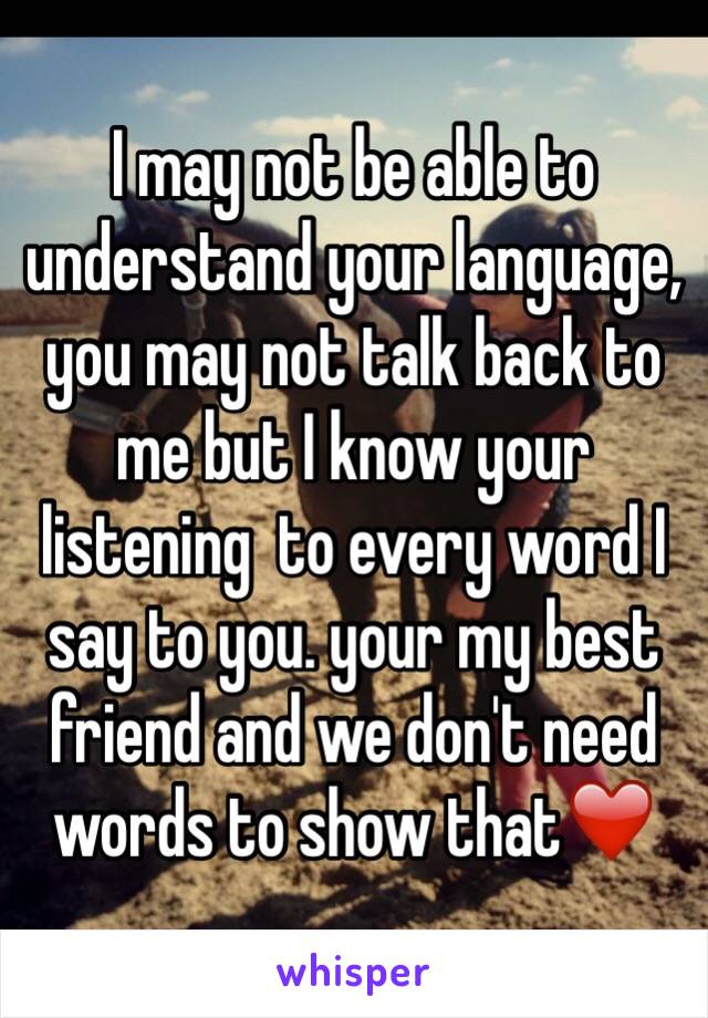 I may not be able to understand your language, you may not talk back to me but I know your listening  to every word I say to you. your my best friend and we don't need words to show that❤️