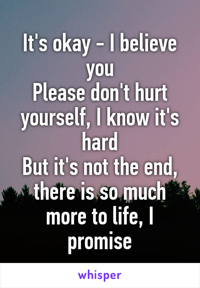 It's okay - I believe you
Please don't hurt yourself, I know it's hard
But it's not the end, there is so much more to life, I promise