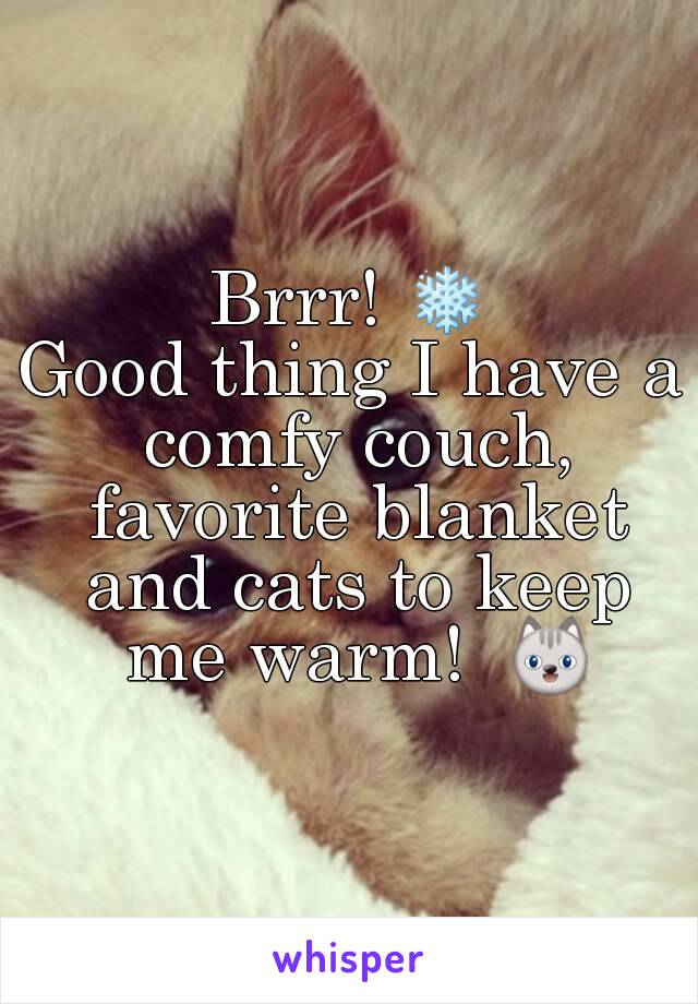 Brrr! ❄
Good thing I have a comfy couch, favorite blanket and cats to keep me warm!  😺