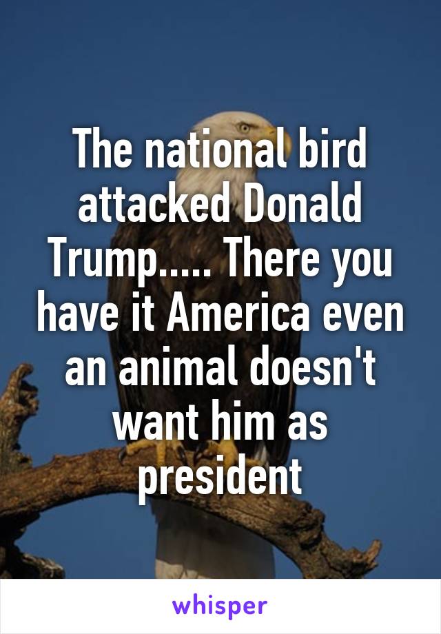 The national bird attacked Donald Trump..... There you have it America even an animal doesn't want him as president