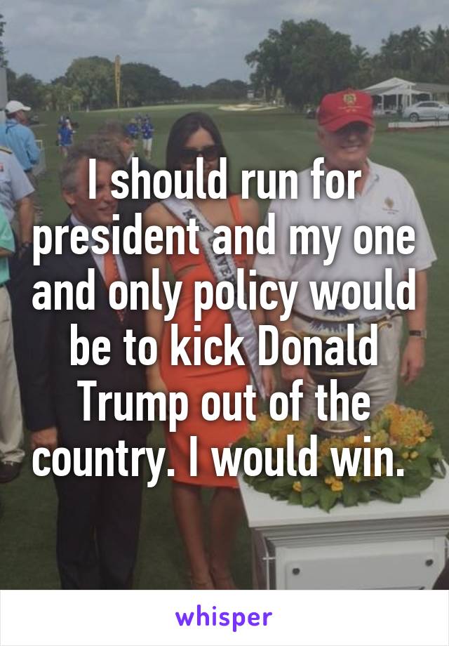 I should run for president and my one and only policy would be to kick Donald Trump out of the country. I would win. 