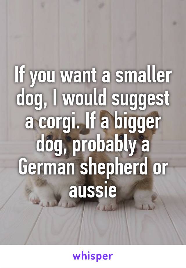 If you want a smaller dog, I would suggest a corgi. If a bigger dog, probably a German shepherd or aussie