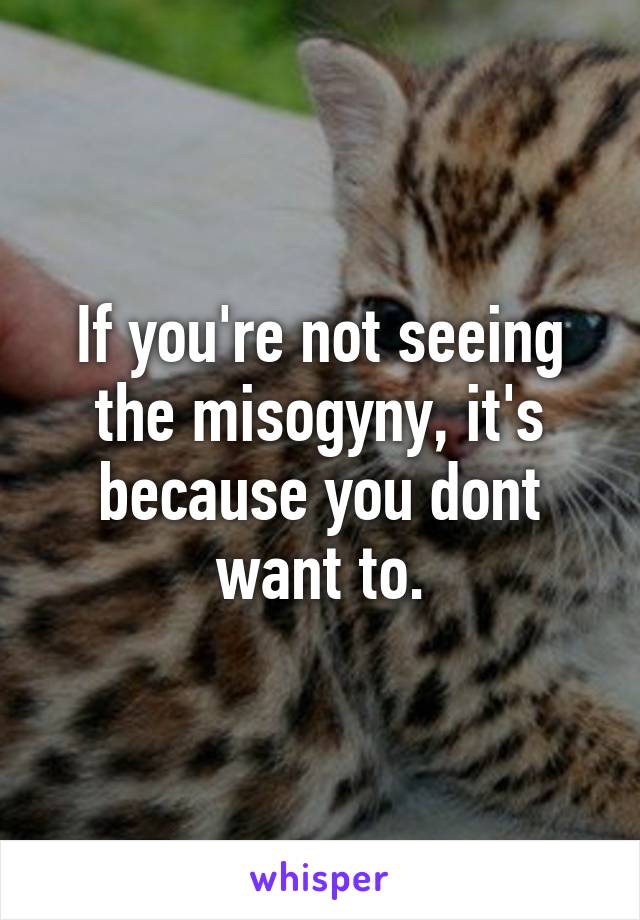 If you're not seeing the misogyny, it's because you dont want to.