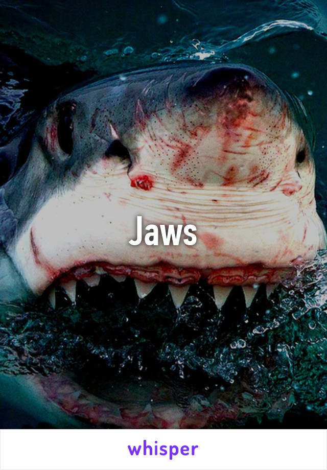 Jaws