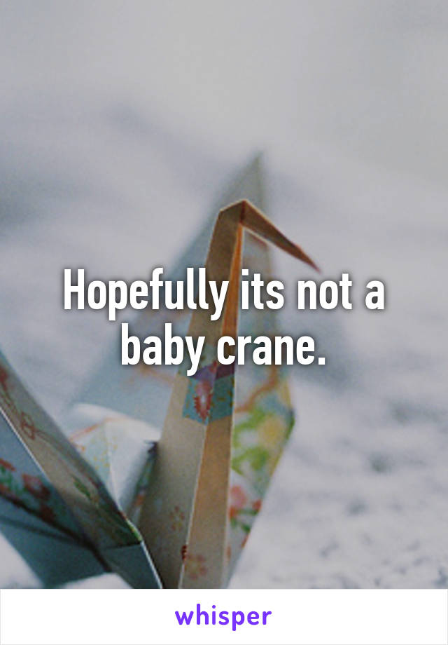 Hopefully its not a baby crane.