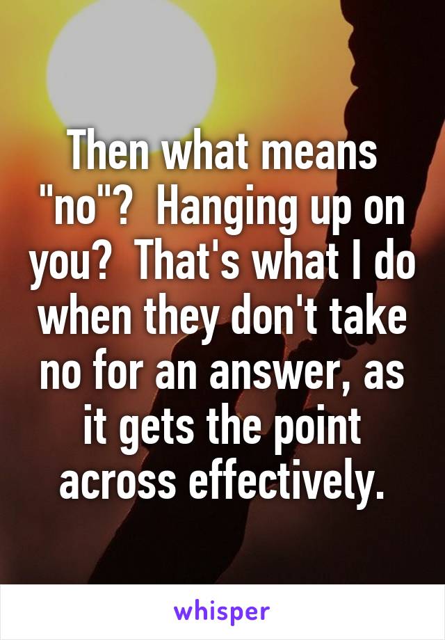 Then what means "no"?  Hanging up on you?  That's what I do when they don't take no for an answer, as it gets the point across effectively.