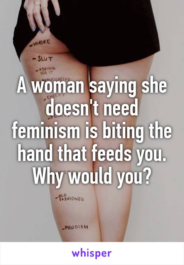 A woman saying she doesn't need feminism is biting the hand that feeds you. Why would you?