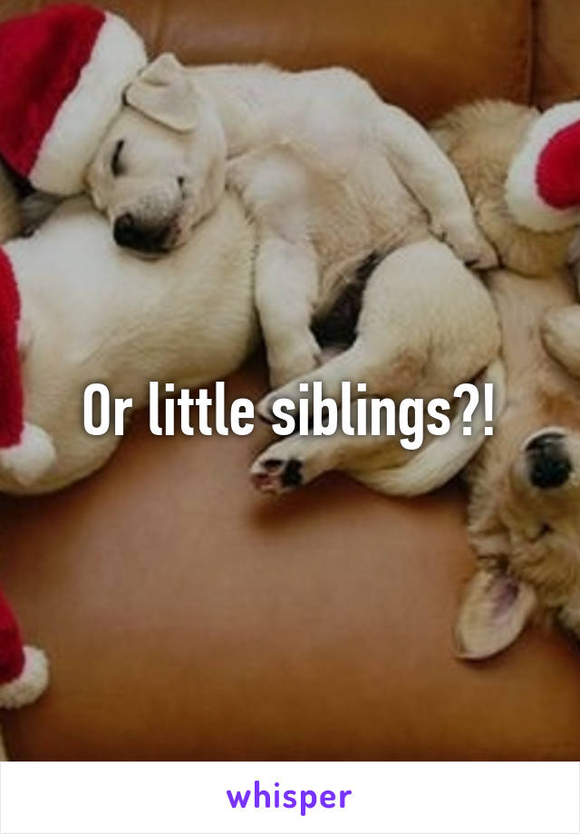 Or little siblings?!