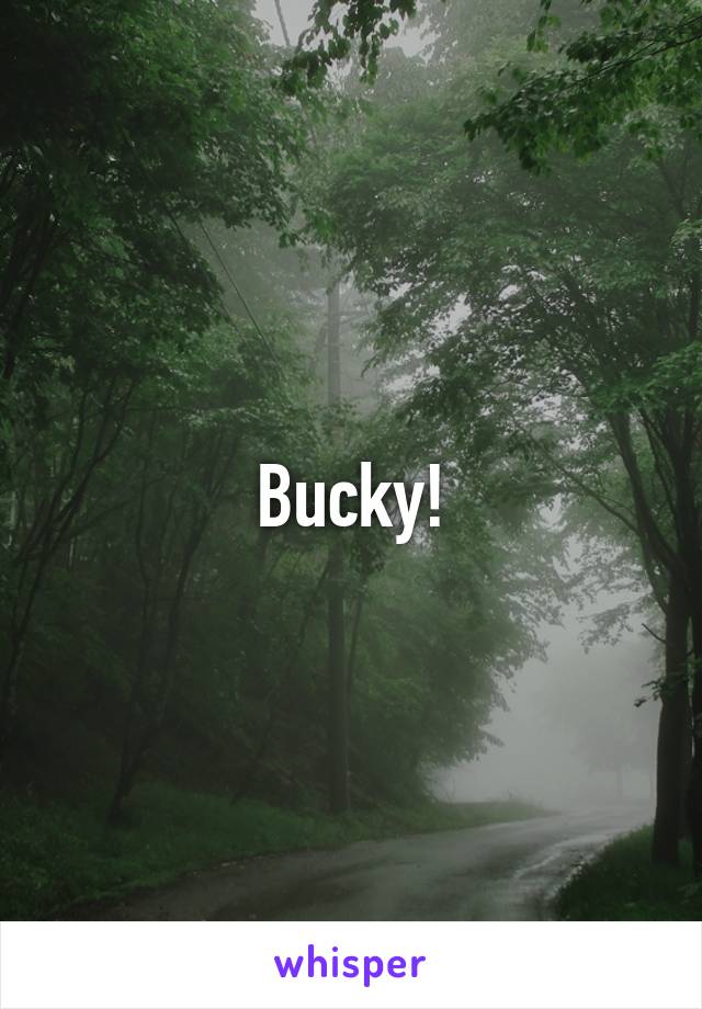 Bucky!