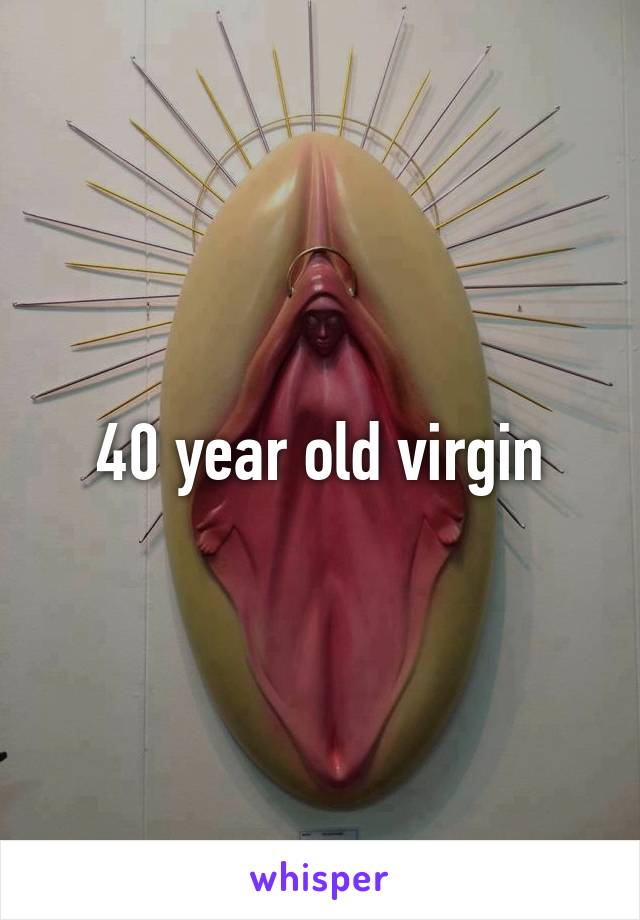 40 year old virgin