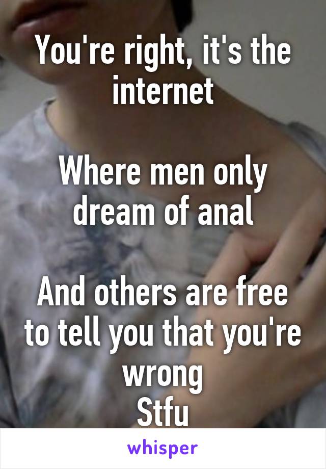 You're right, it's the internet

Where men only dream of anal

And others are free to tell you that you're wrong
Stfu