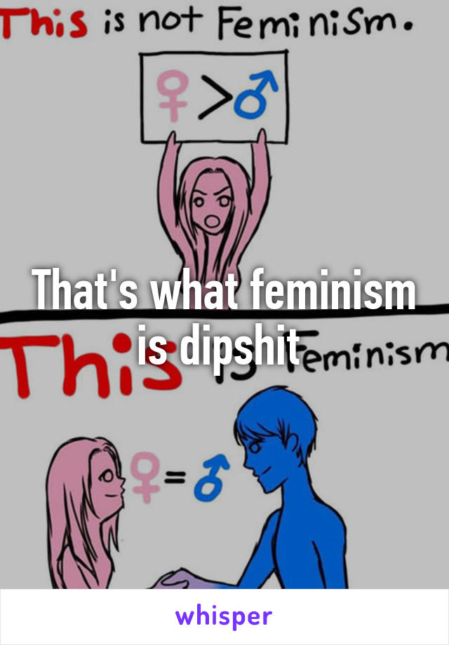 That's what feminism is dipshit 