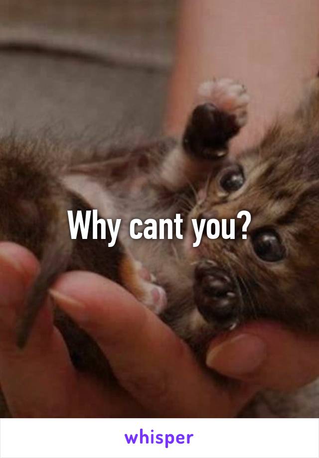 Why cant you?