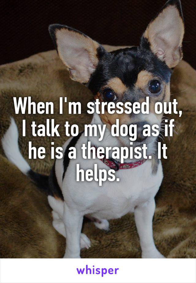 When I'm stressed out, I talk to my dog as if he is a therapist. It helps.