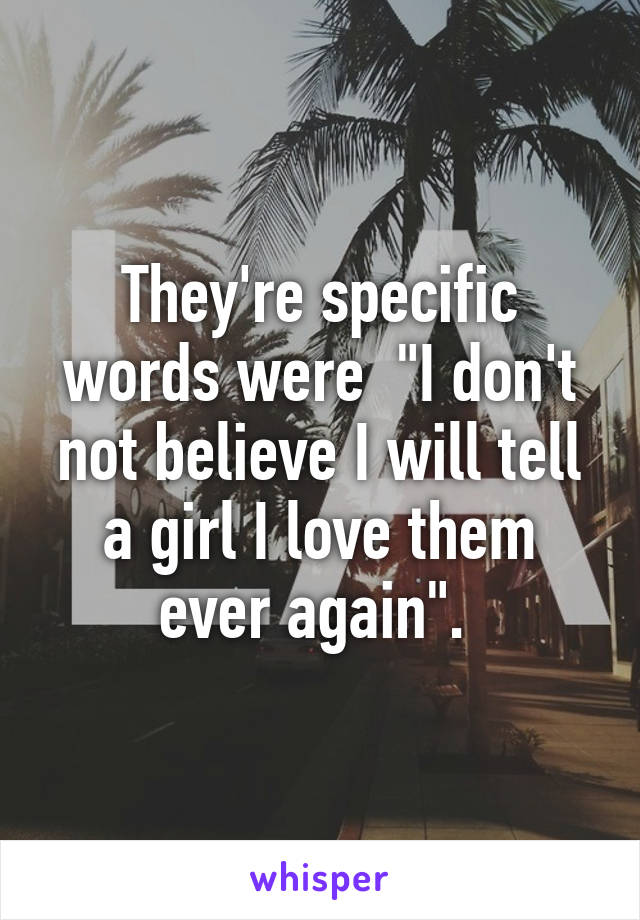 They're specific words were  "I don't not believe I will tell a girl I love them ever again". 