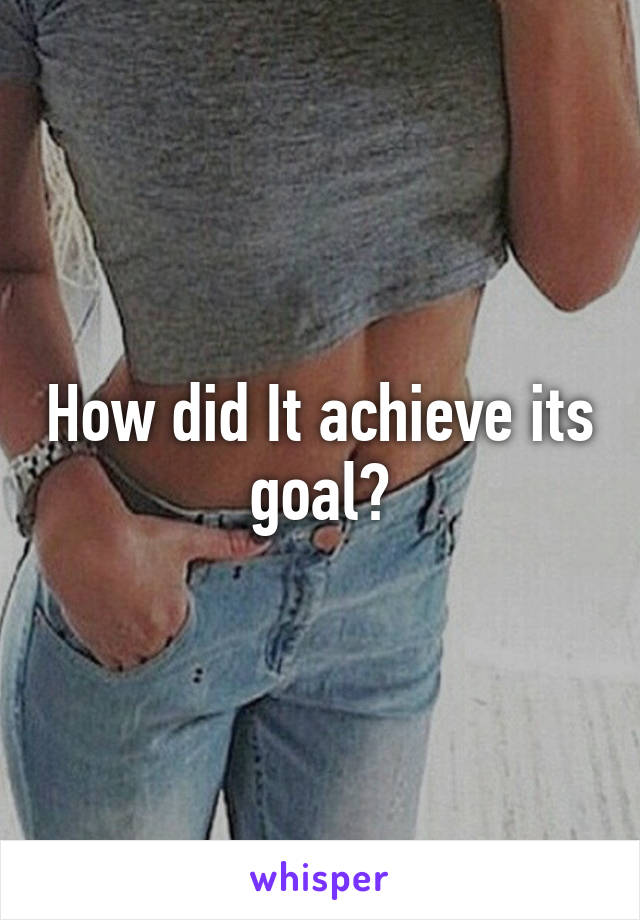 How did It achieve its goal?