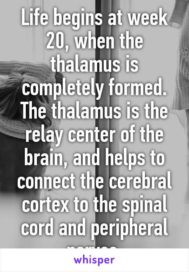 Life begins at week 20, when the thalamus is completely formed. The thalamus is the relay center of the brain, and helps to connect the cerebral cortex to the spinal cord and peripheral nerves.