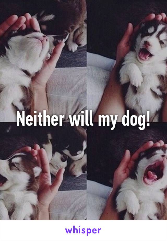 Neither will my dog!