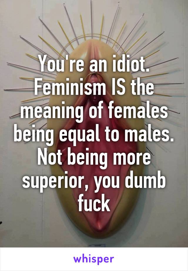 You're an idiot. Feminism IS the meaning of females being equal to males. Not being more superior, you dumb fuck