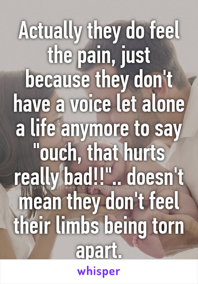 Actually they do feel the pain, just because they don't have a voice let alone a life anymore to say "ouch, that hurts really bad!!".. doesn't mean they don't feel their limbs being torn apart.