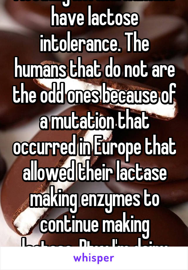 Actually normal humans have lactose intolerance. The humans that do not are the odd ones because of a mutation that occurred in Europe that allowed their lactase making enzymes to continue making lactase. Btw I'm dairy intolerant. 