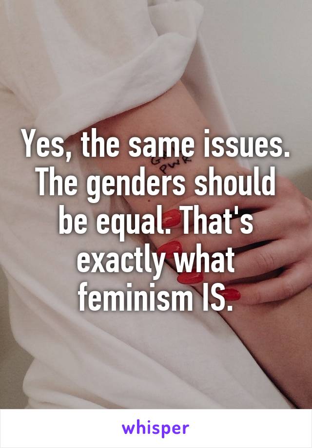 Yes, the same issues. The genders should be equal. That's exactly what feminism IS.