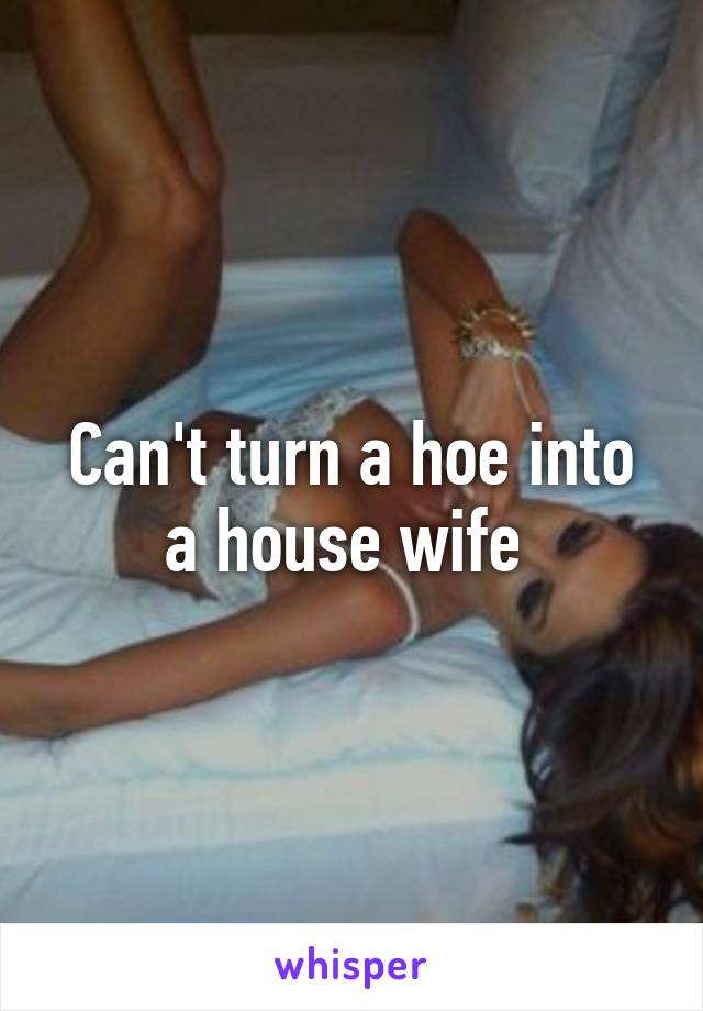 Can't turn a hoe into a house wife 