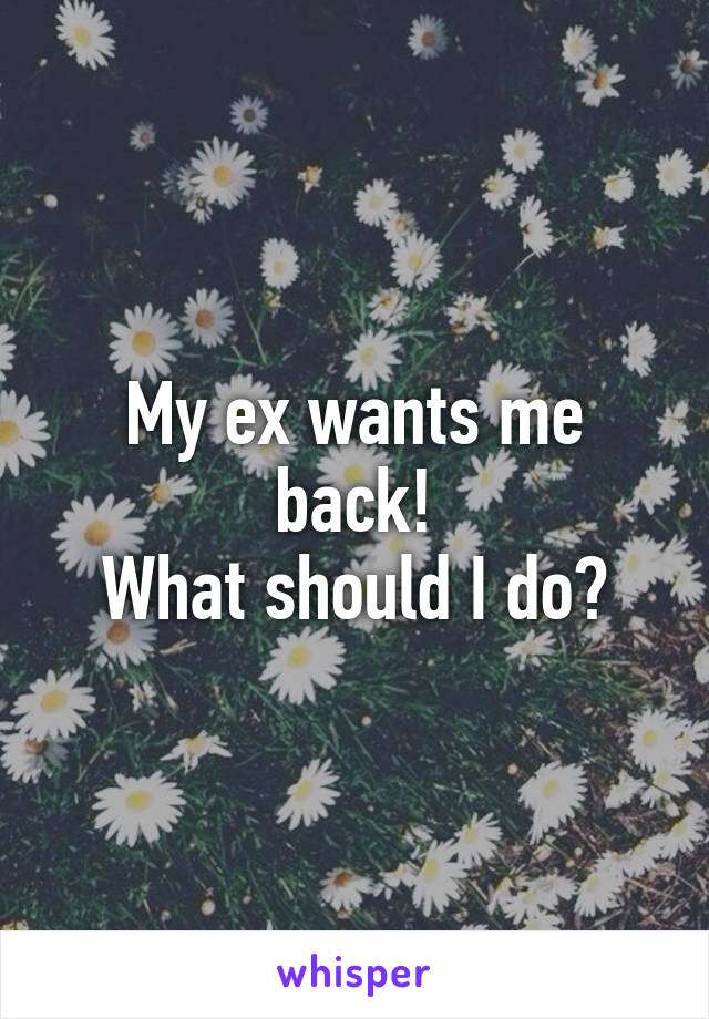 My ex wants me back!
What should I do?