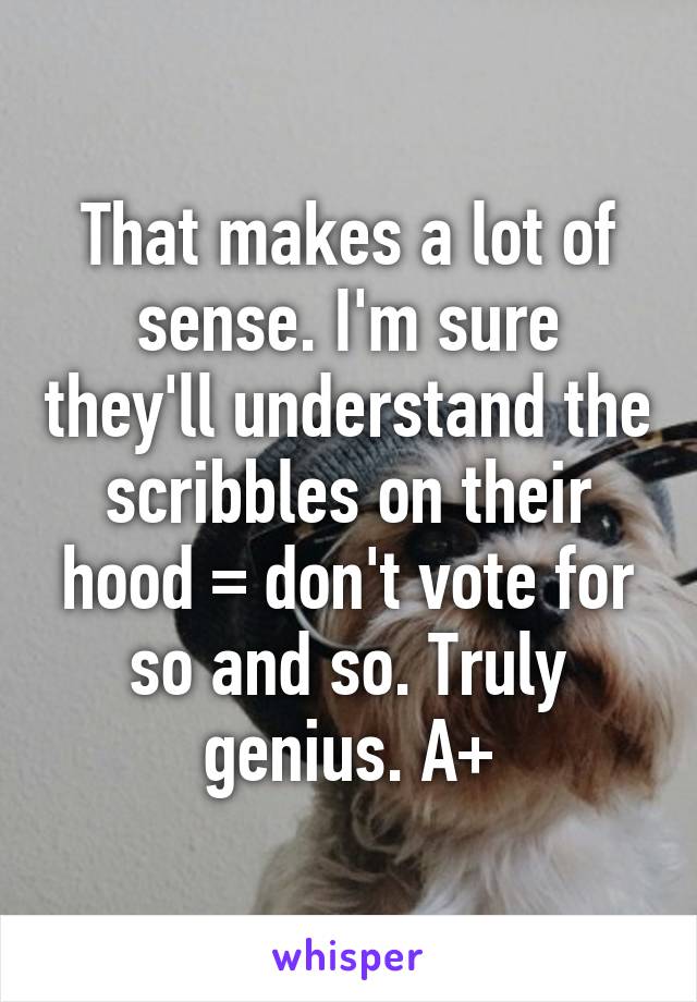 That makes a lot of sense. I'm sure they'll understand the scribbles on their hood = don't vote for so and so. Truly genius. A+