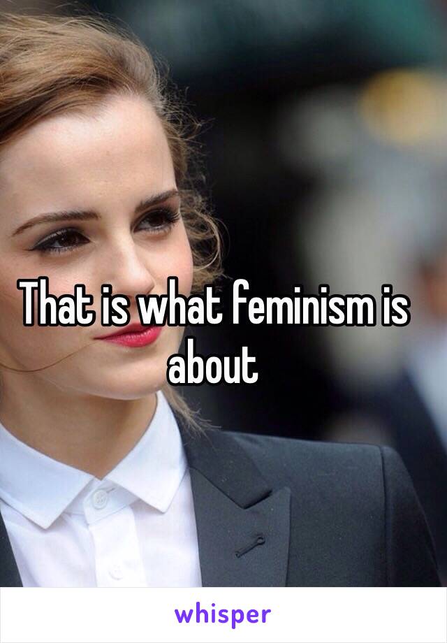 That is what feminism is about