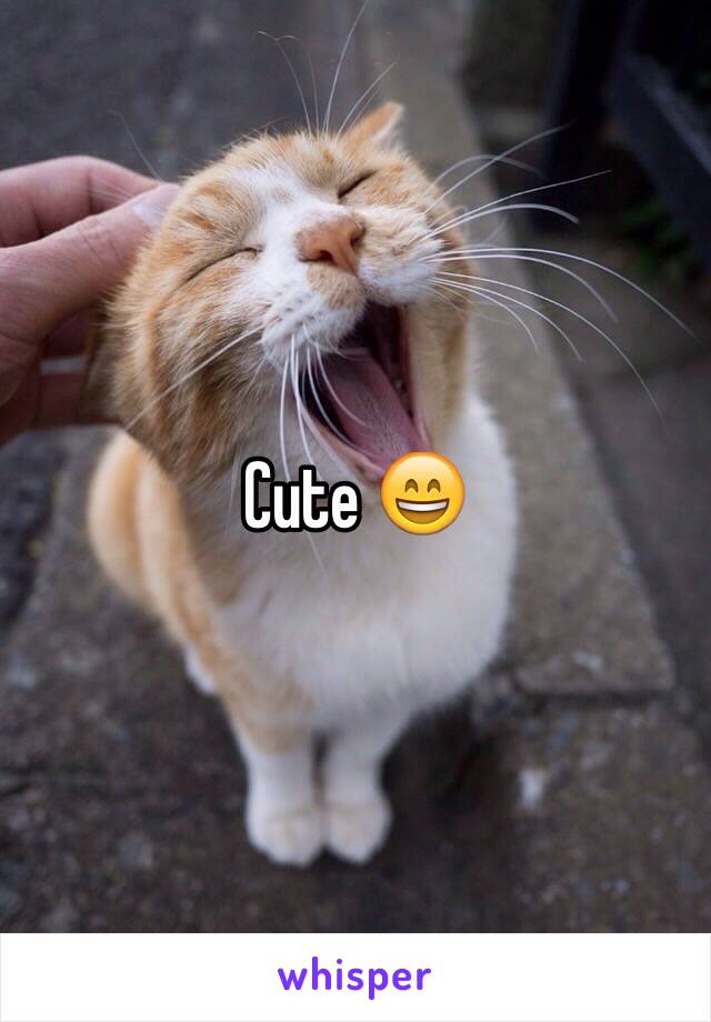 Cute 😄