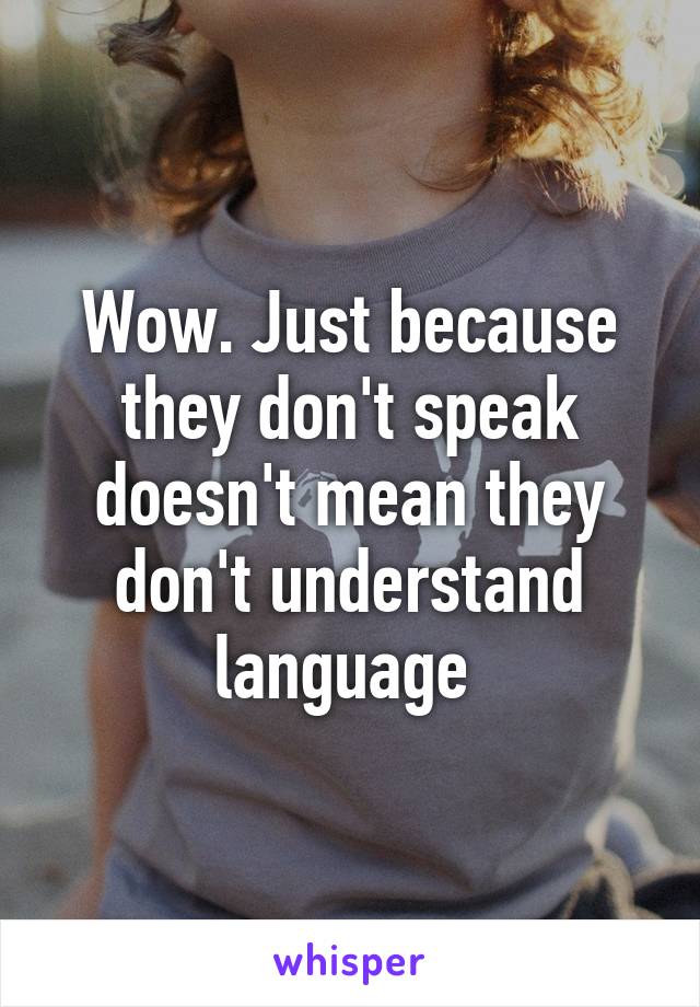 Wow. Just because they don't speak doesn't mean they don't understand language 