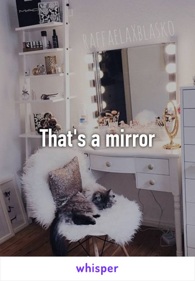 That's a mirror