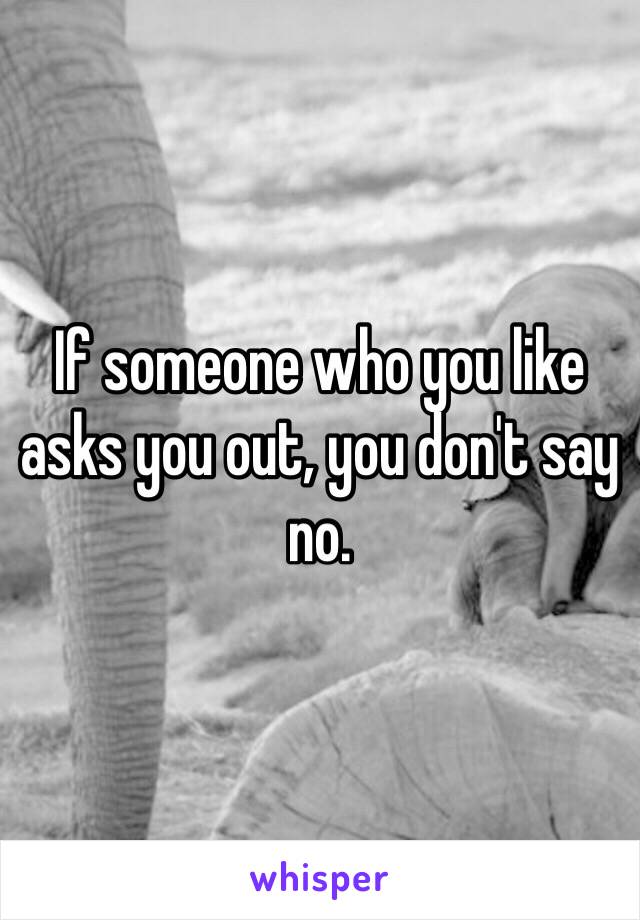 If someone who you like asks you out, you don't say no. 