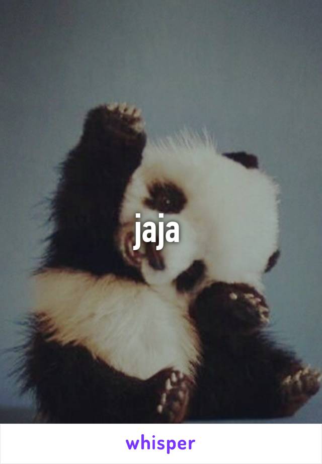 jaja 