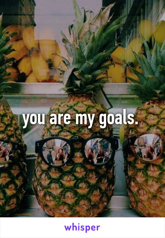 you are my goals. 