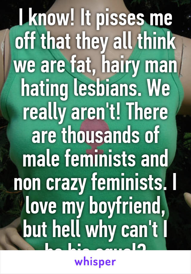 I know! It pisses me off that they all think we are fat, hairy man hating lesbians. We really aren't! There are thousands of male feminists and non crazy feminists. I love my boyfriend, but hell why can't I be his equal?