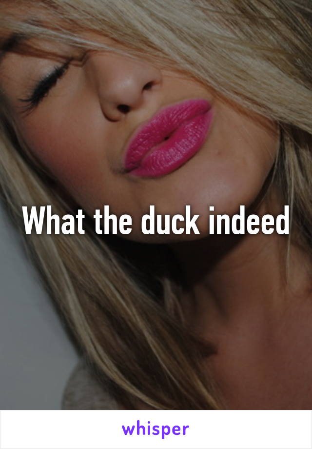 What the duck indeed