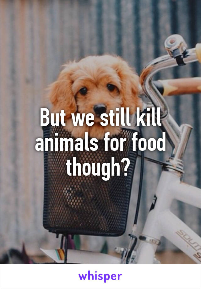 but-we-still-kill-animals-for-food-though