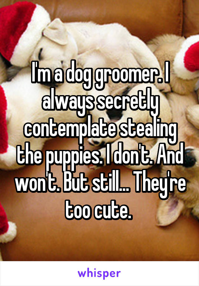 I'm a dog groomer. I always secretly contemplate stealing the puppies. I don't. And won't. But still... They're too cute. 