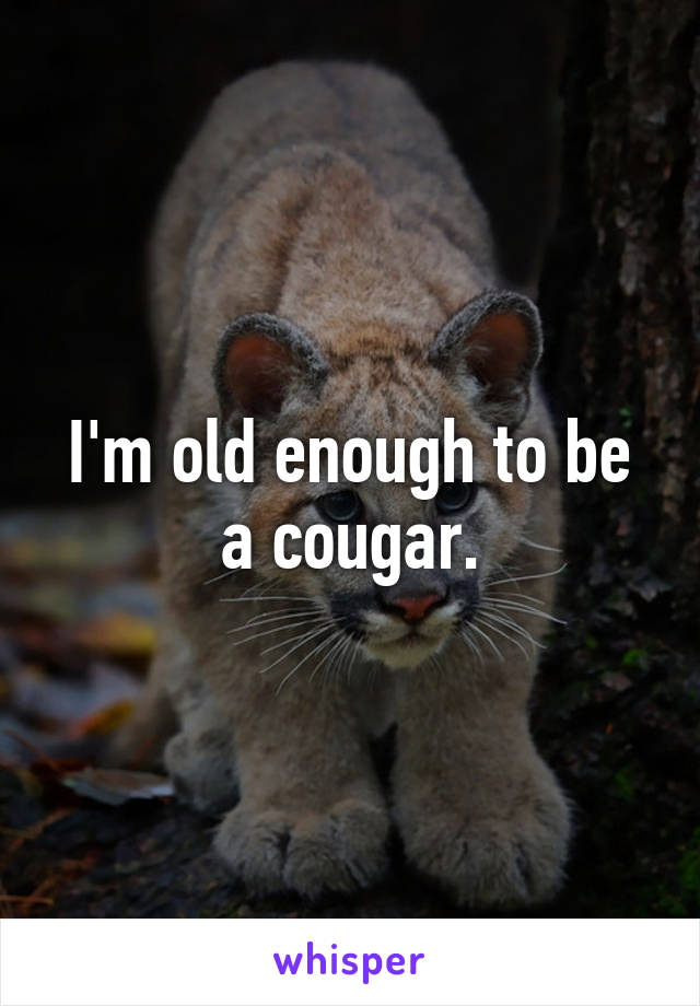 I'm old enough to be a cougar.