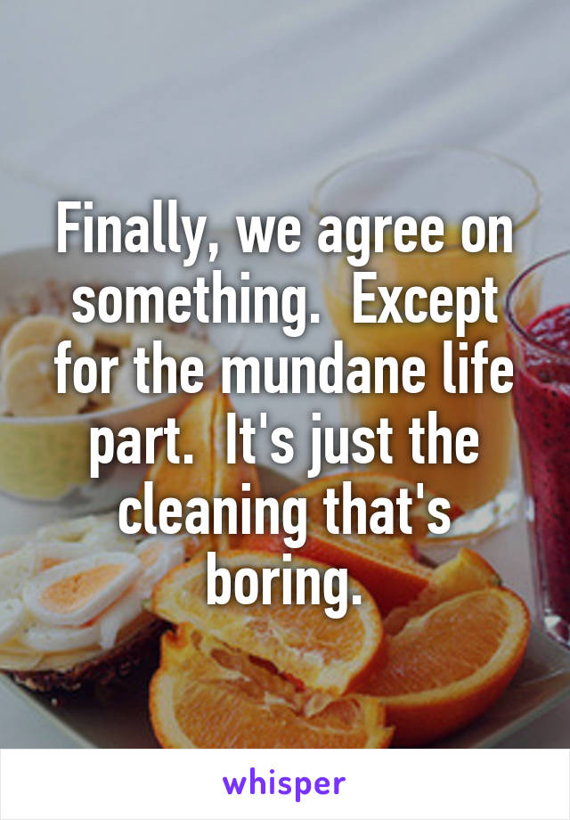 Finally, we agree on something.  Except for the mundane life part.  It's just the cleaning that's boring.