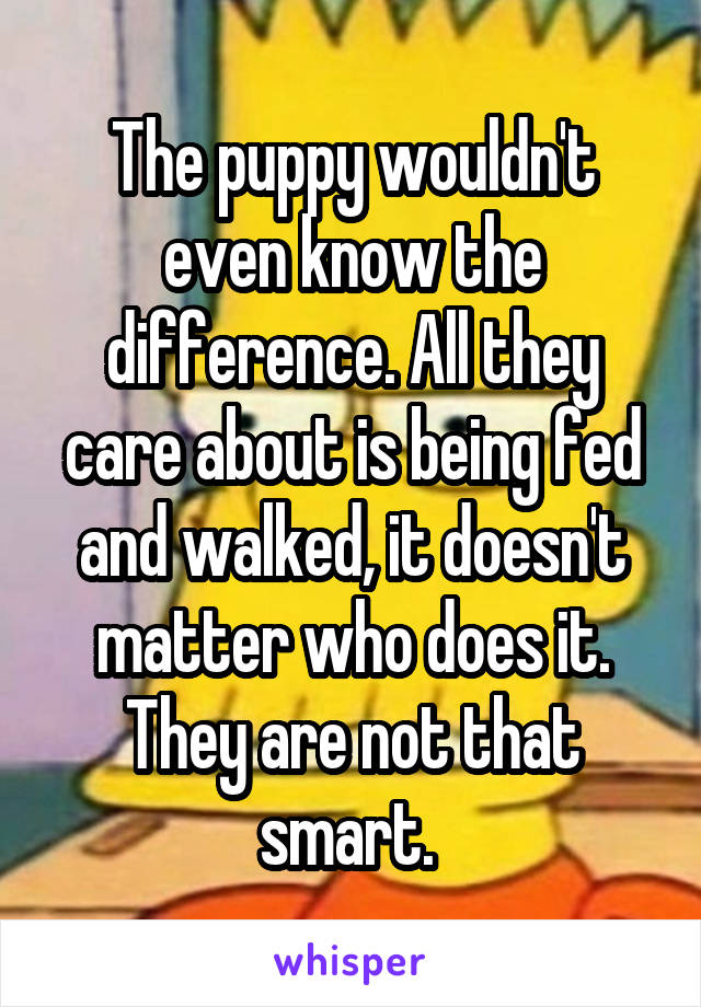 The puppy wouldn't even know the difference. All they care about is being fed and walked, it doesn't matter who does it. They are not that smart. 