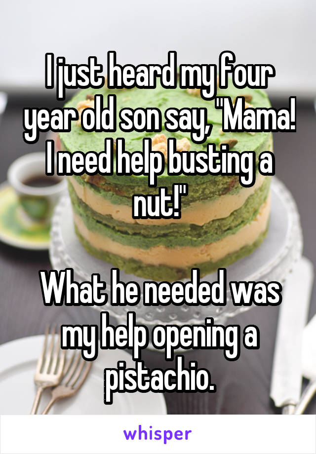 I just heard my four year old son say, "Mama! I need help busting a nut!"

What he needed was my help opening a pistachio.
