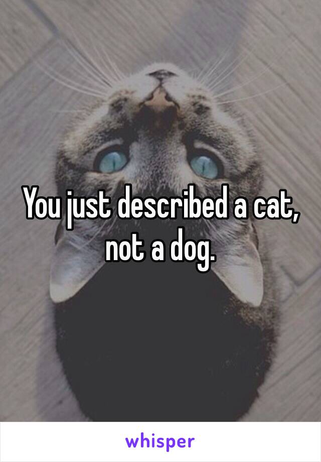 You just described a cat, not a dog.
